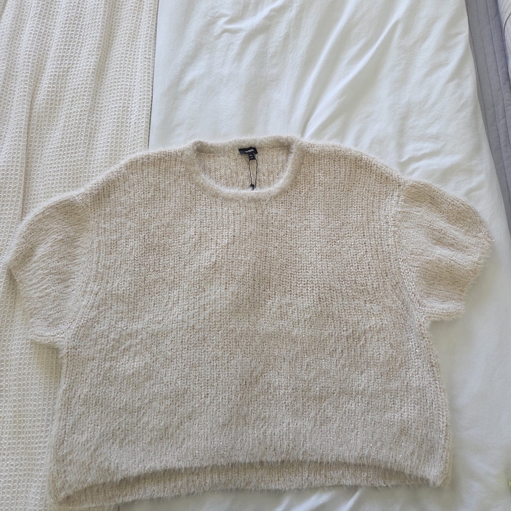 Express Slightly Crop Sweater
